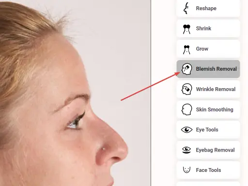 FaceTouchUp blemish removal tool interface
