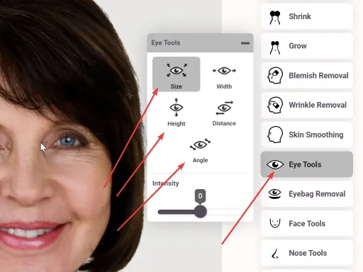 FaceTouchUp eye editing tools for cosmetic simulation