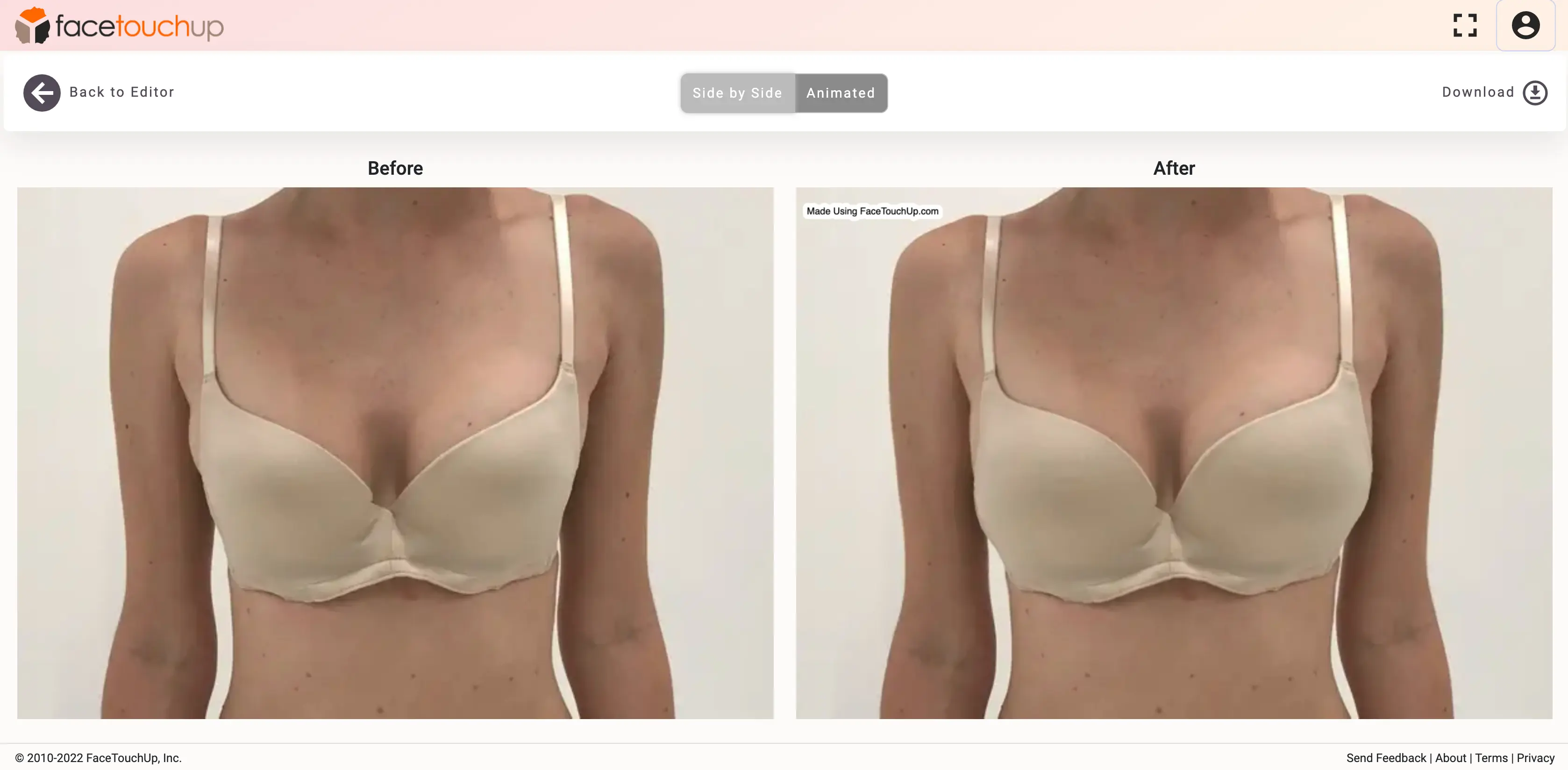 FaceTouchUp breast augmentation simulator - Step 17: Save simulation image