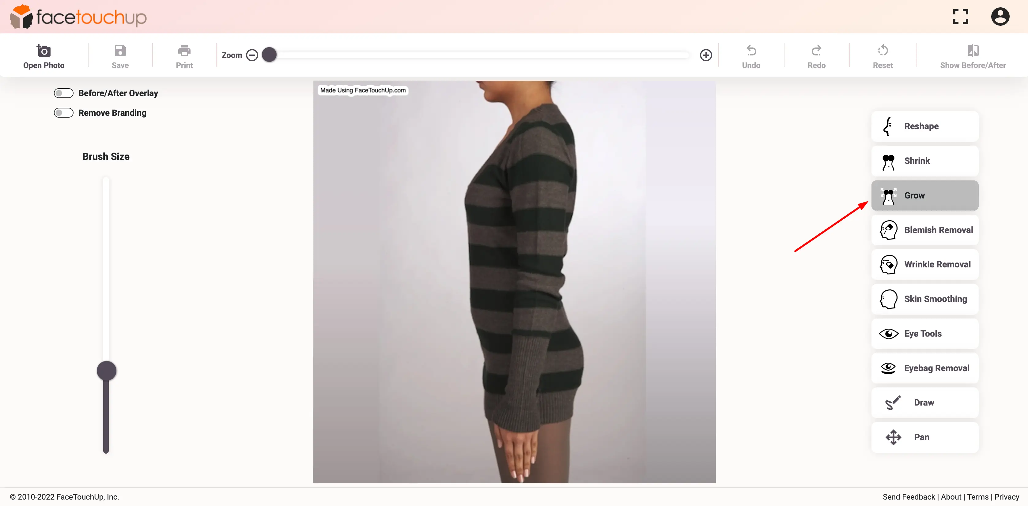 FaceTouchUp breast augmentation simulator - Step 3: Choose the grow tool